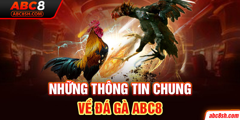 Những thông tin chung về đá gà ABC8