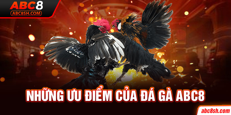 Những ưu điểm của đá gà ABC8