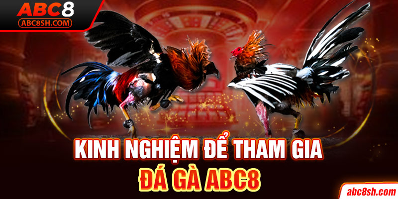 Kinh nghiệm để tham gia đá gà ABC8